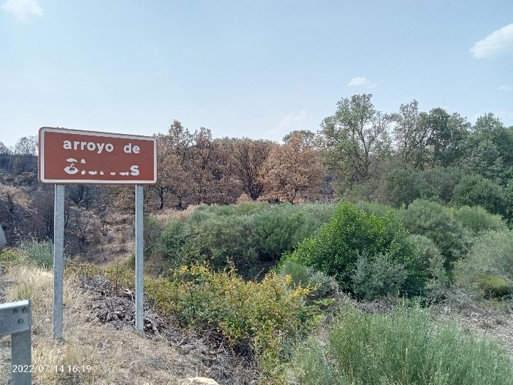 GFAugasGalicia's tweet image. 🧵
Que nos suxiren estas fotos da #EspañaQueVacían?.....