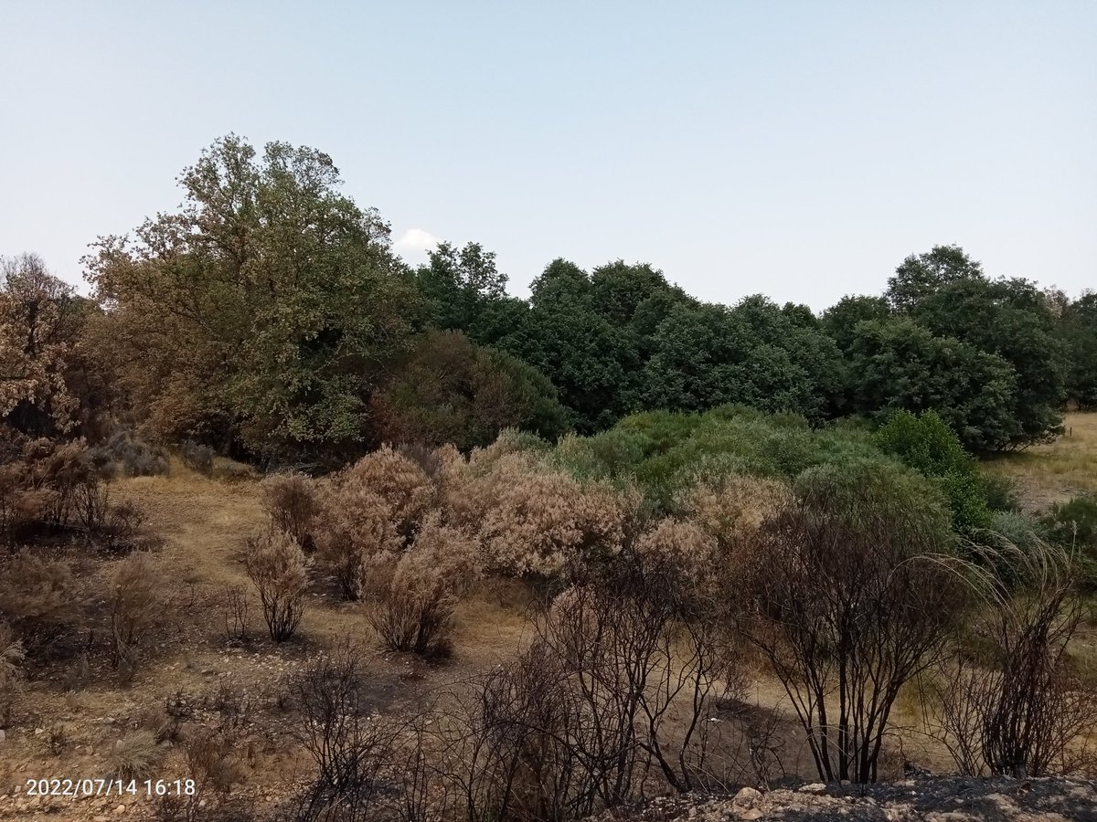 GFAugasGalicia's tweet image. 🧵
Que nos suxiren estas fotos da #EspañaQueVacían?.....