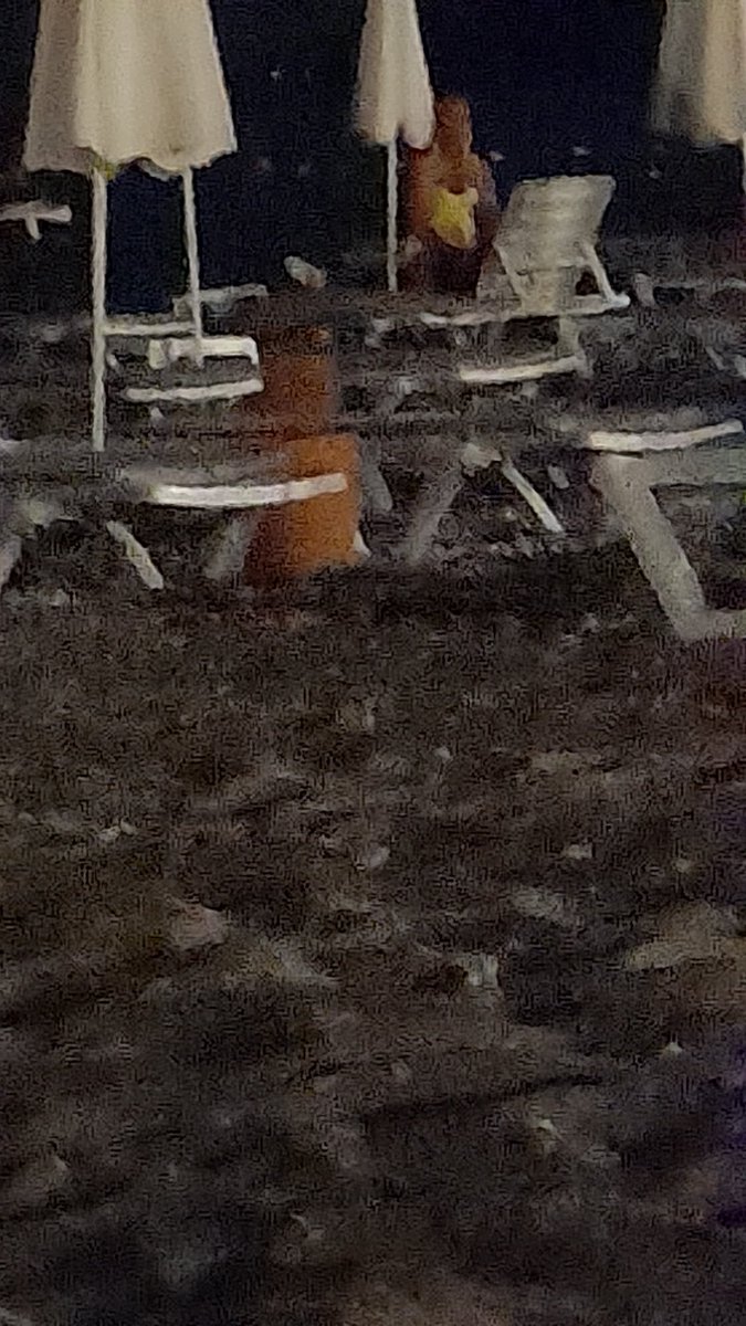 Scorpion (@scorpio85614828) on Twitter photo 