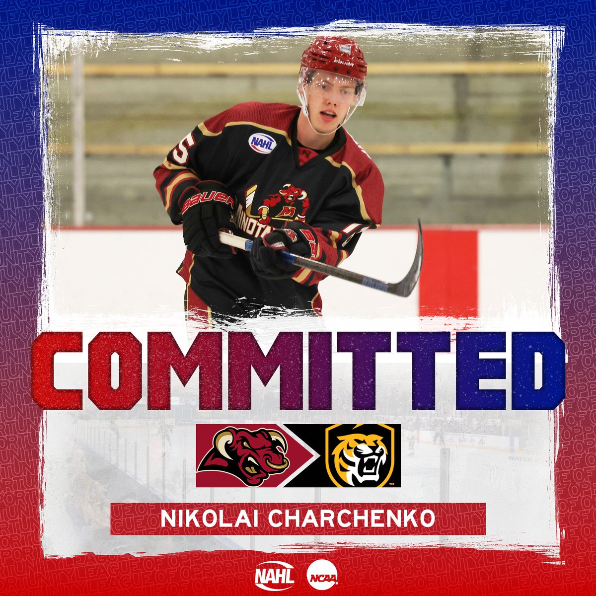 #NAHL Commitment Alert: <a href="/MinotauroHockey/">Minot Minotauros</a> and Top Prospects defenseman Nikolai Charchenko <a href="/NikChar15/">Nikolai Charchenko</a> has committed to play NCAA Division I <a href="/collegehockey/">College Hockey Inc.</a> for <a href="/CCTigerHKY/">CC Hockey</a> in <a href="/TheNCHC/">The NCHC</a> #MadeintheNA nahl.com/news/story.cfm…