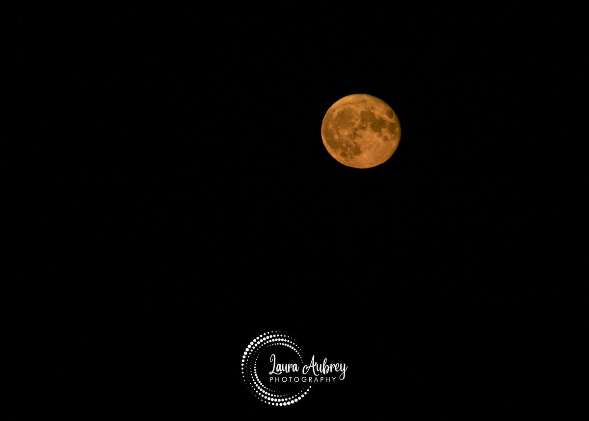 laura_aphoto's tweet photo. Fly me to the moon 
Moon rise 14/07/22 at around 10:45 pm beautiful colour
14 Images stacked with different exposures
Waning Gibbous 99.9 % Illumination #dorset #moon #waninggibbous  #astrophotography #moonphotography #moonfromearth #stackedimages #canonuk #canoneosr #benbouk https://t.co/ibbjILg298