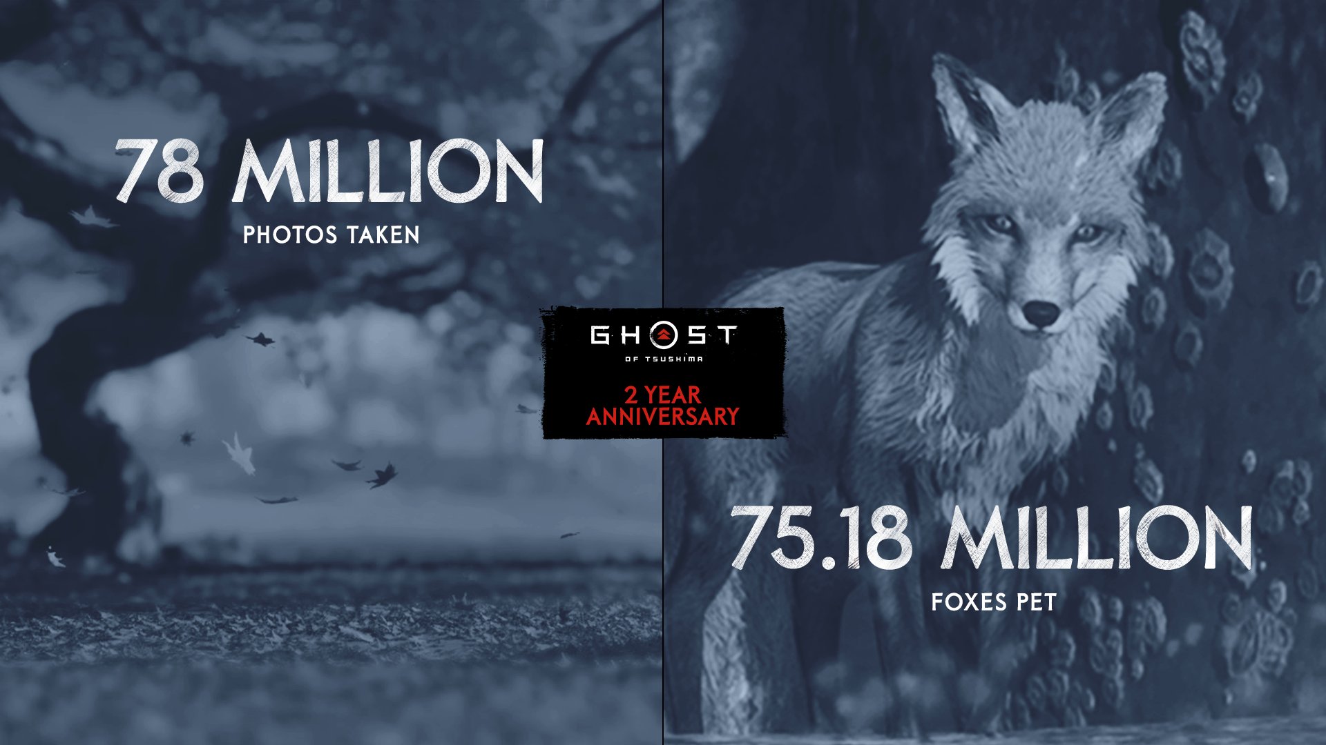 78 million photos taken, 75.18 million foxes pet