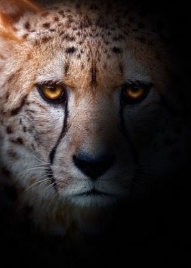 #CheetahLaw When you play DB you will at some point get beat, but you can never act defeated. No matter what happens at practice or during a game, never show a sign of frustration, disappointment or weakness! #Cheetahs #DBLock #Ap2w