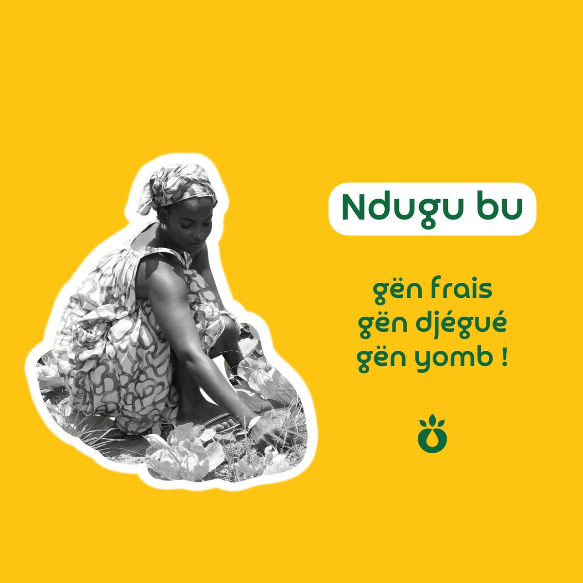 Des légumes encore plus frais, encore plus proches à des prix imbattables. C'est ce qu'Afrikamart apporte aux commerçants des marchés ! 😇 

#nunafrikamart #sunujaba #afrikamart #freshproduce #supplychain #senegal #produitsfrais #agritech #entrepreneur #startup #kebetu