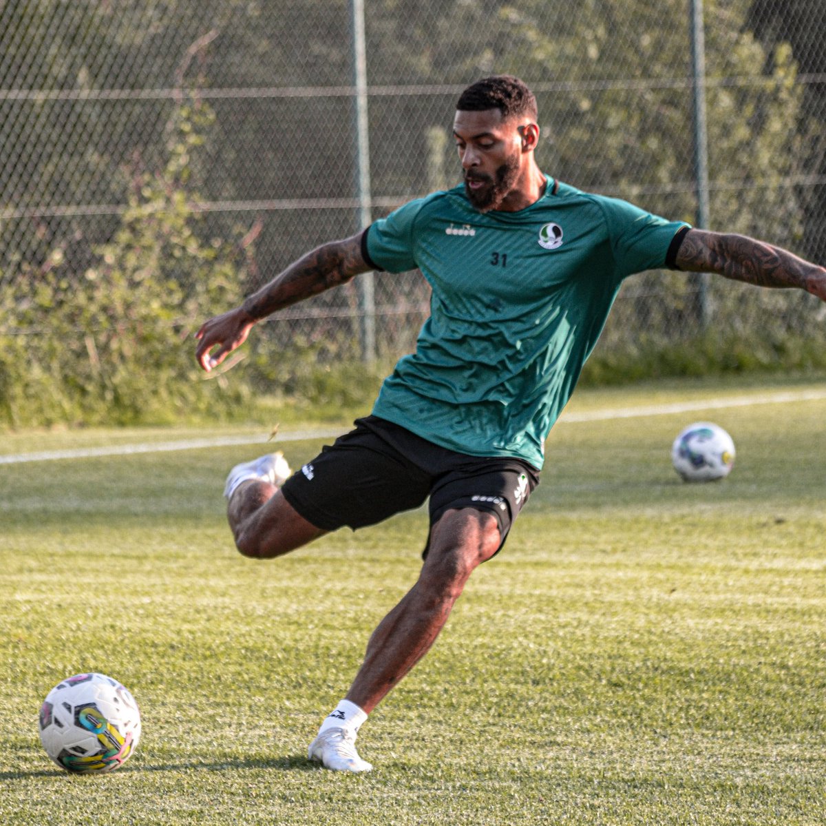 Sakaryaspor tweet media