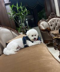 ELeeyalin's tweet photo. https://t.co/r7iYolaoZQ