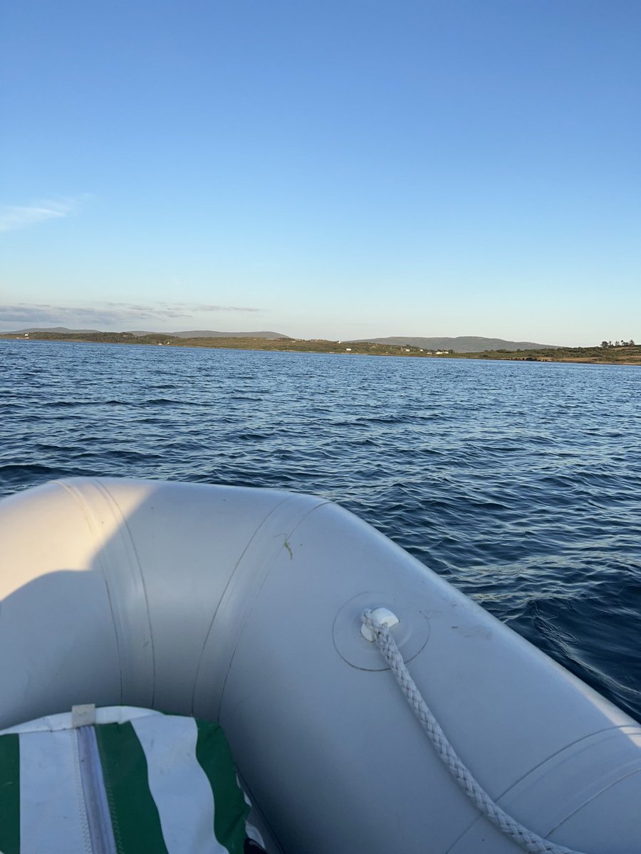 PaulaCoganCork's tweet photo. My chauffeurs to #BereIsland this evening #justmagic https://t.co/qu9NYlDIuW