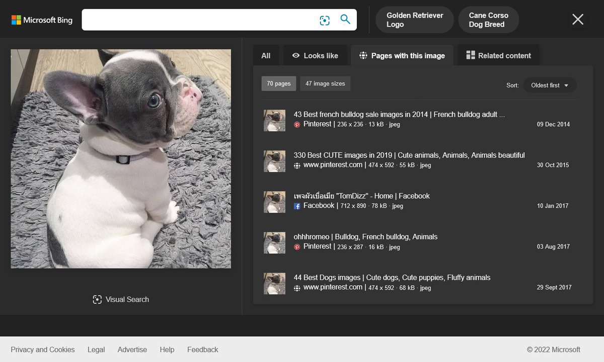 aa419's tweet photo. So glad to see they still produce these puppies eight years later ... oh wait: A #PetScam
/camillafrenchiepuppies.com @Namecheap
Find these puppies being "sold" ... https://t.co/FloAQlTIWv