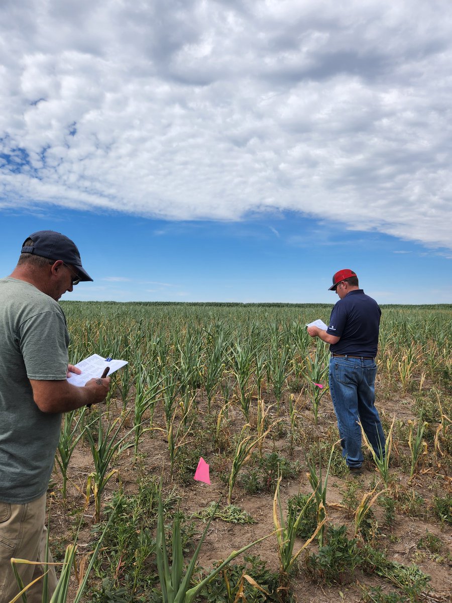 FrenchmanValleyCoop tweet media