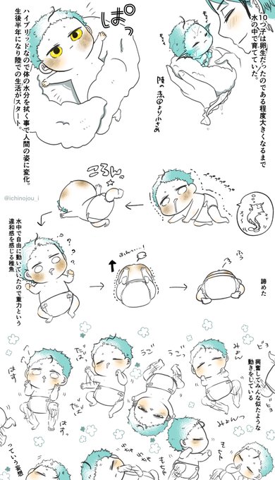 ジェ監🐬🌸11匹の稚魚ちゃんシリーズ
未来捏造稚魚注意
卵生10匹が水中から陸へ移動した時の話(妄想しかない
この1ヶ月後にもっちもちになる
 #twstプラス 