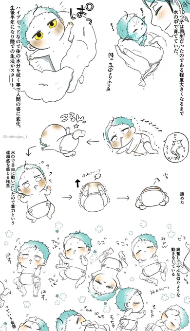 ジェ監🐬🌸11匹の稚魚ちゃんシリーズ
未来捏造稚魚注意
卵生10匹が水中から陸へ移動した時の話(妄想しかない
この1ヶ月後にもっちもちになる
 #twstプラス 