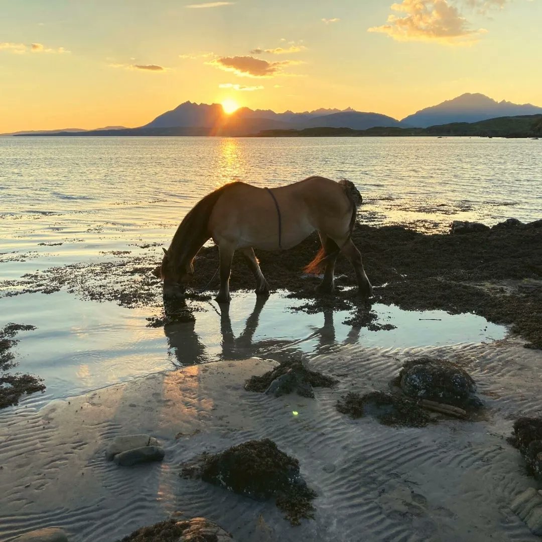 Looking for spectacular scenery and breathtaking views?...😍🐴

You've come to the right place 💙🏴󠁧󠁢󠁳󠁣󠁴󠁿
👉 buff.ly/3xcmW4G

#NationalILoveHorsesDay 🐴