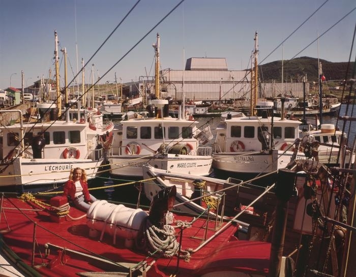 TheCHPF's tweet photo. There are many great fishing guides to help you make the most of the Gaspe Peninsula!  Try it out for a summer adventure!

Image: "Quebec: Gaspe Peninsula - fishing fleet in the harbour at Rivere-au-Renard" by #GeorgeHunter

#TheCHPF #Photography #GaspePeninsula #canadianfishing https://t.co/wpJqc0Z2yd