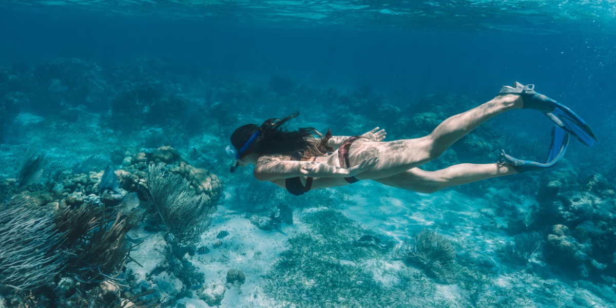 aprivateisland's tweet photo. Discover paradise in ways you never thought you could. #CayoEspanto offers once in a life-time experiences that cater to our guest who find relaxation in exploring. Click the link to start planning your perfect getaway: ➡️ https://t.co/8S8yCphunC https://t.co/BJbxeliQCE