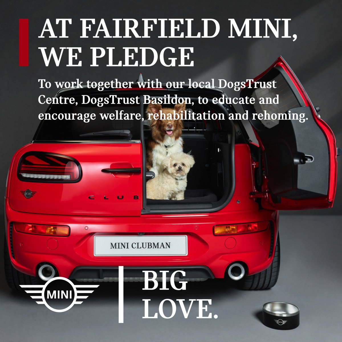 FairfieldMINI's tweet photo. For our Big Love pledge – we will be supporting @DT_Essex alongside the MINI Project Dog initiative to help improve and educate our community about dog welfare, rehabilitation and how you can provide a dog its new home. Stay tuned for more news on how to get involved. https://t.co/5BXDQ18F11