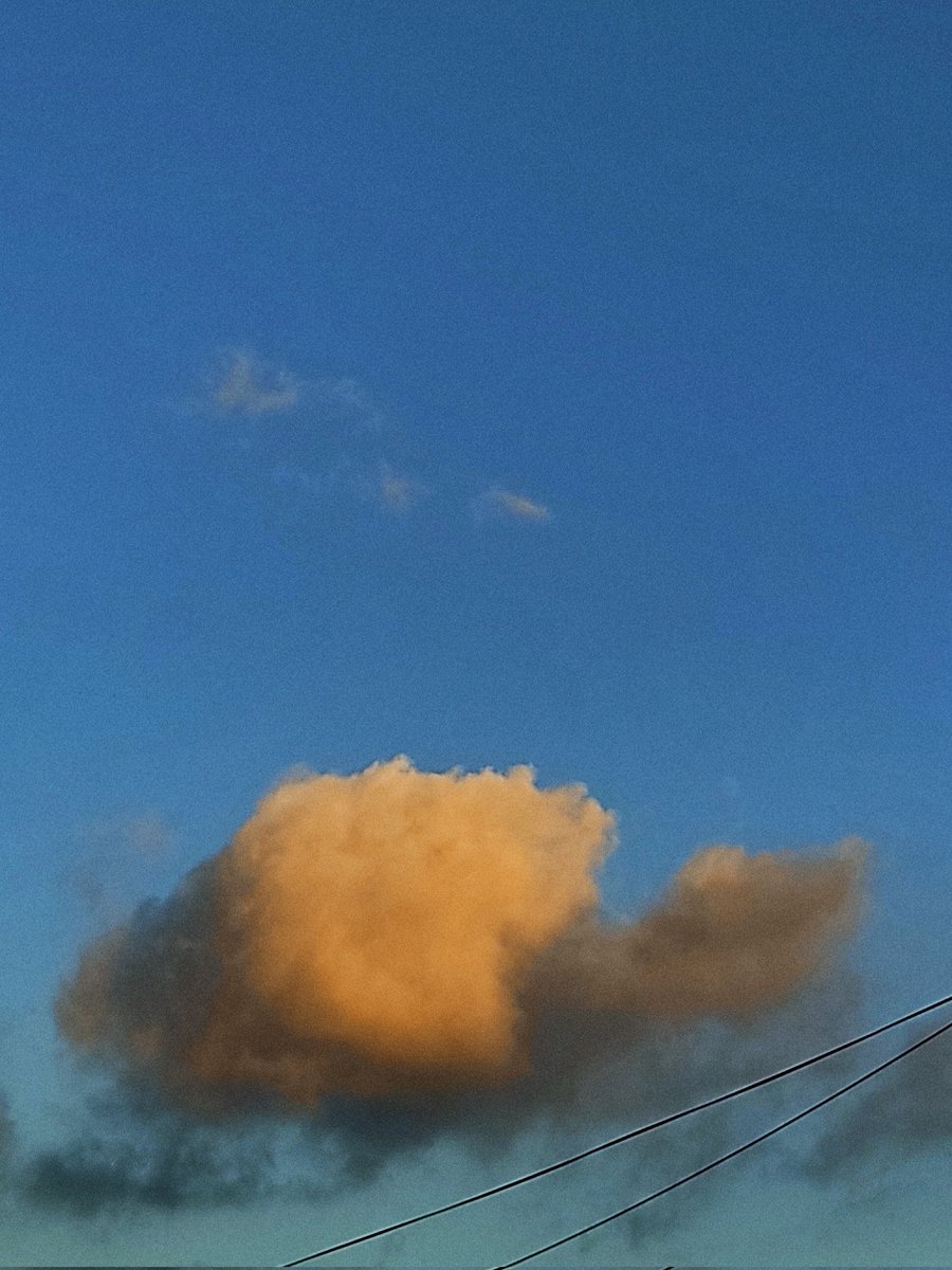 titaura69's tweet photo. She, just like i, got her head in the clouds. https://t.co/C0HPml5GJu
