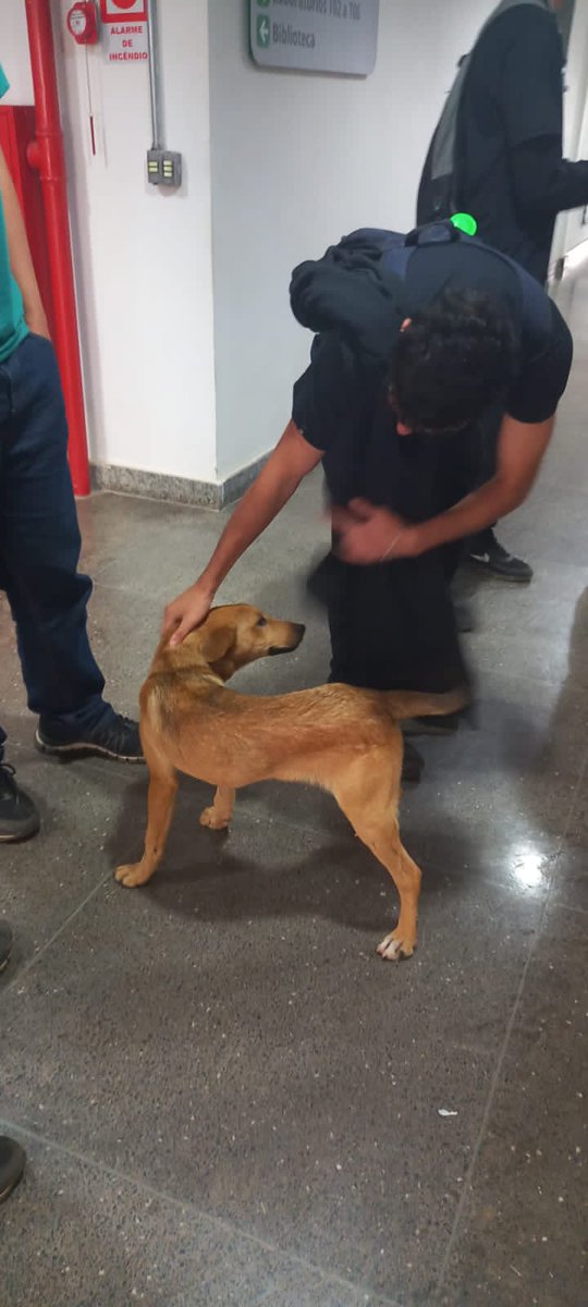 TheoFanc's tweet photo. theo amigo dos animais https://t.co/7UkO9T0Lj5