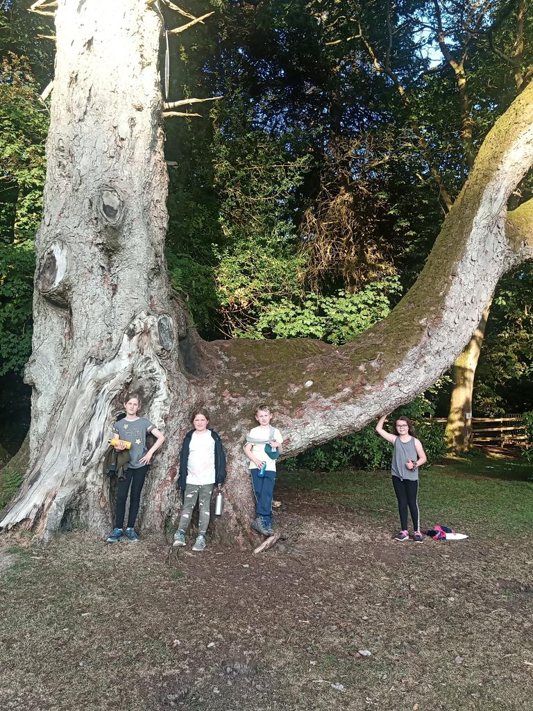 Just past Tebay. What a brilliant few days. The bus was quiet, 🥱😴💤. Now, seem to have recharged!!