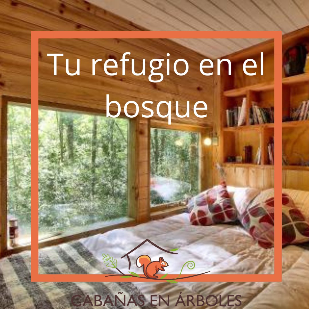 El bosque nos proporciona frescura y cobijo en estos días de intenso calor.

No lo dudes y busca tu refugio desde nuestra web. Filtra tus preferencias y disfruta de tu aventura.

#cabañasenarboles #alojamientosinsolitos #bosque #ecoturismo #turismosostenible #refugio