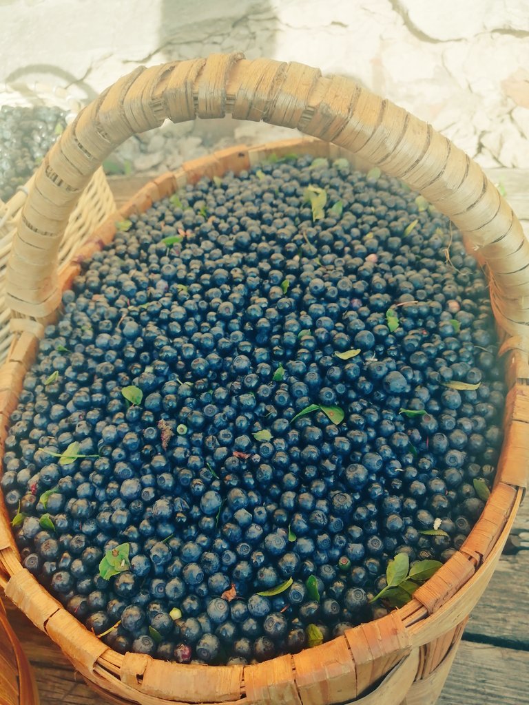 Привет .
Пришло время витаминизироваться черникой .
Заполняй анкету  бери себе и рассказывай друзьям.  
Черника  Кировской обл.
Доставка ориен-но 24.07 в Москву 
Цена 350 р/кг  ( внимательно! За кг , а не за литр )
Прошу очень РТ🙏🙏🙏

Заполни анкету :
docs.google.com/forms/d/1lUAII…