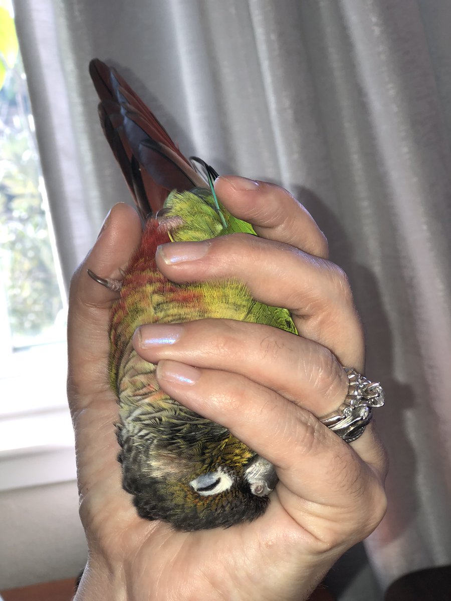 Warm hand. Full heart. Can’t loose.