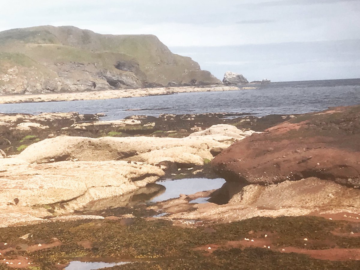 WeeWritingLass's tweet photo. Rockpools #bluemind #bluemindlife #bluemindchallenge #bluemindmentalhealth #blueminded https://t.co/WjblQUABWE