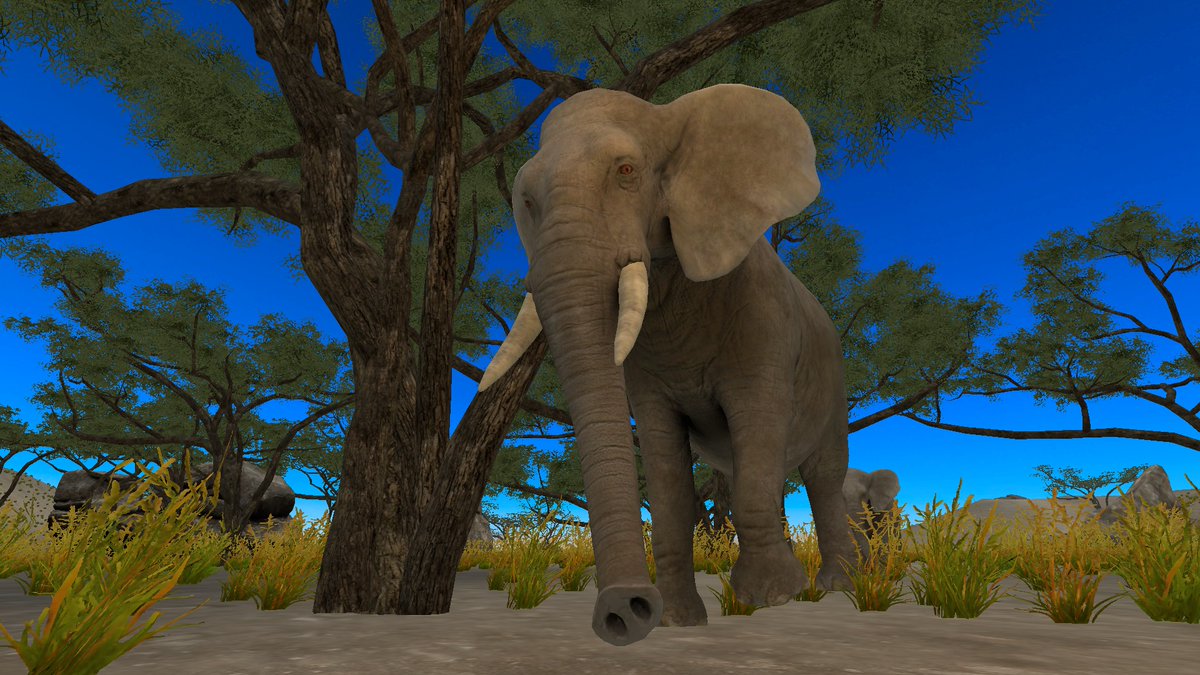 Virtual Games Park by Varonia tweet media