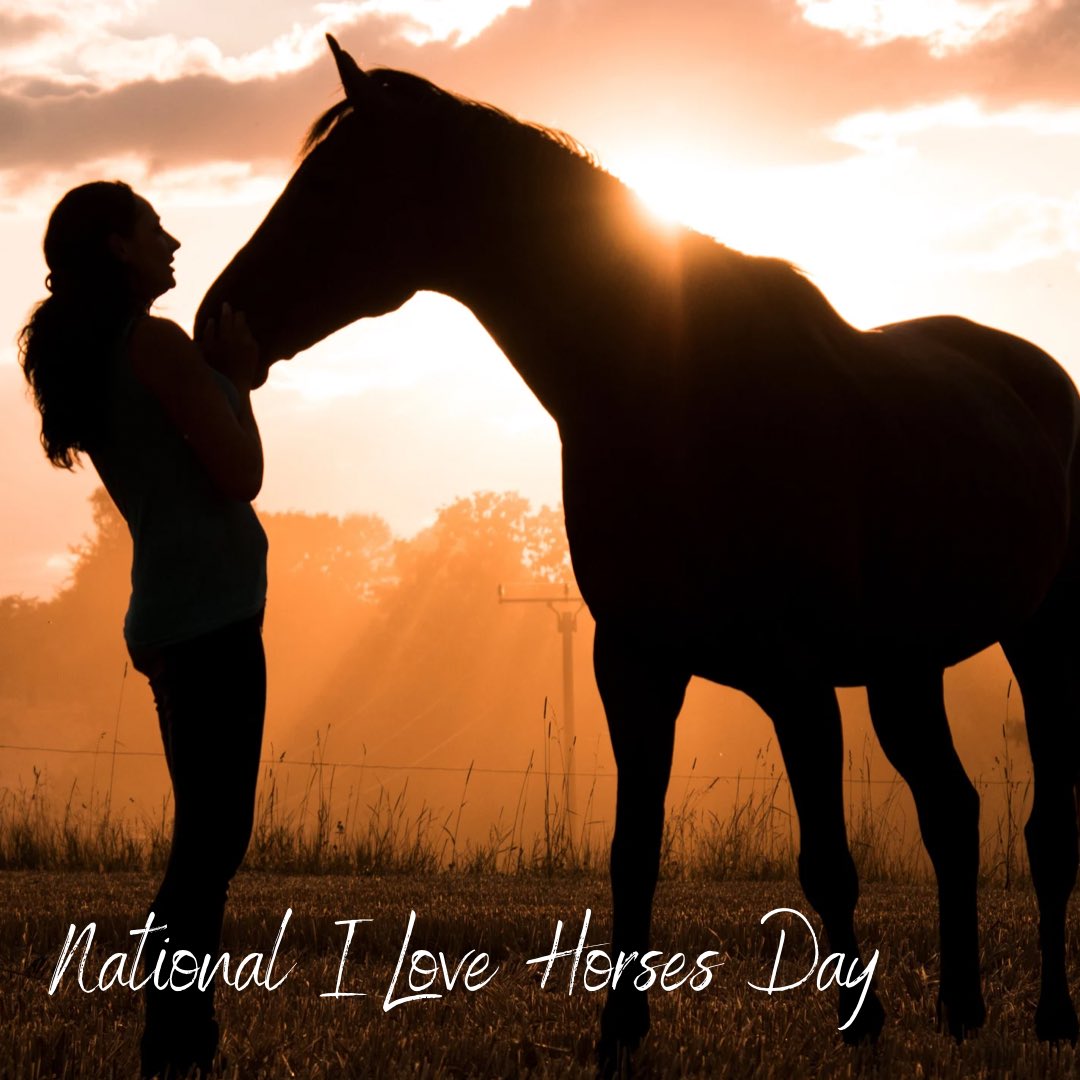 InovaPartners's tweet image. National I Love Horses Day #NationalILoveHorsesDay #horse #equine #equinevet #equineveterinarian