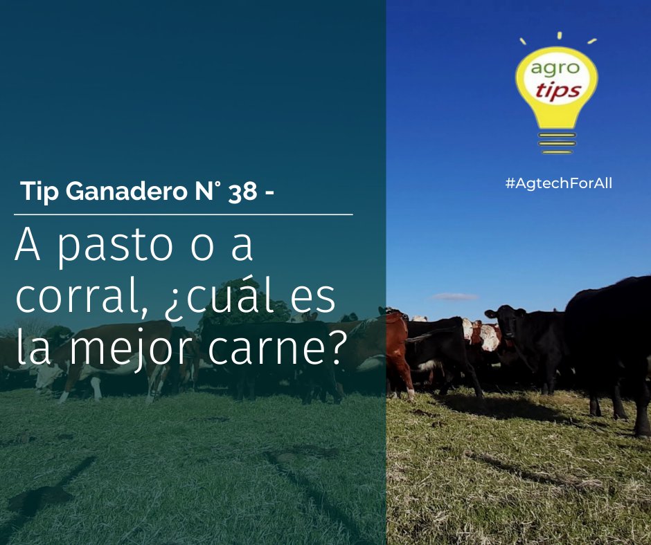 agrotips_'s tweet photo. Tip Ganadero N° 38:
https://t.co/ne31ley0X9
#AgTechForAll  #AgTech #AgriculturaDePrecisión #GanaderíaDePrecisión https://t.co/zyjhaSqgEv