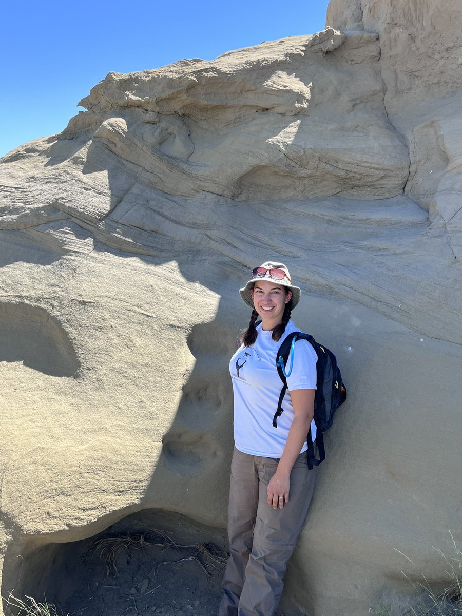 Robert Anemone tweet media