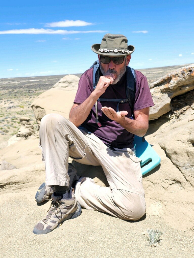 Robert Anemone tweet media