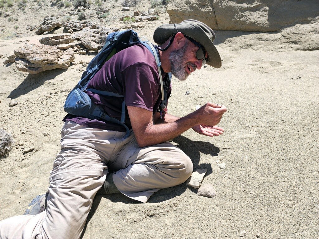 Robert Anemone tweet media