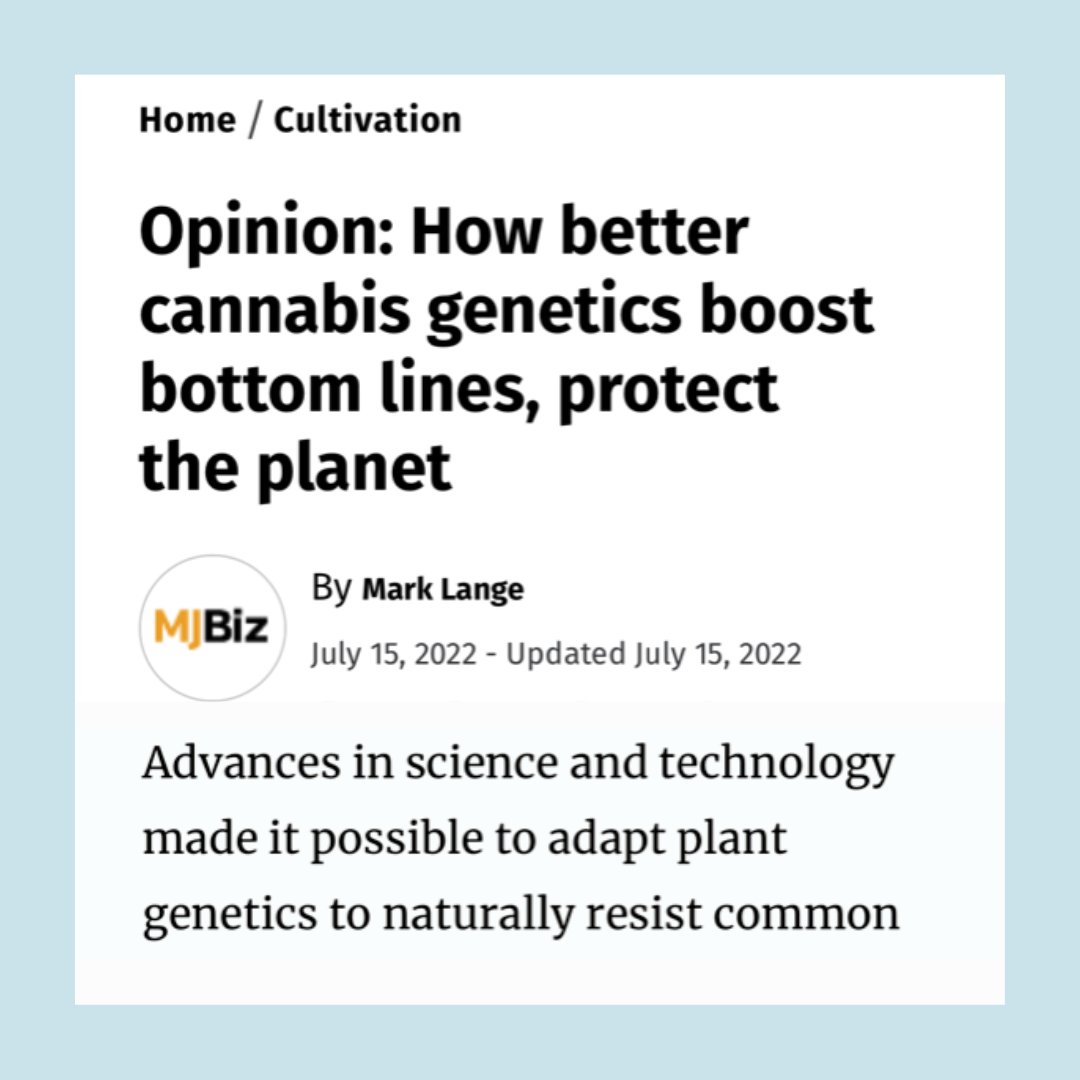 DeweyScientific's tweet photo. Cannabis farmers are between a rock &amp; hard place:

🪨 pests can destroy a crop before harvest
🏔 pesticide residue in shelf-ready bud makes it unsellable

💡@DeweyScientific CSO Mark Lange shares how pest-resistant genetics can reshape #cannabis cultivation in @MJBizDaily https://t.co/z2J5Oeyyqc