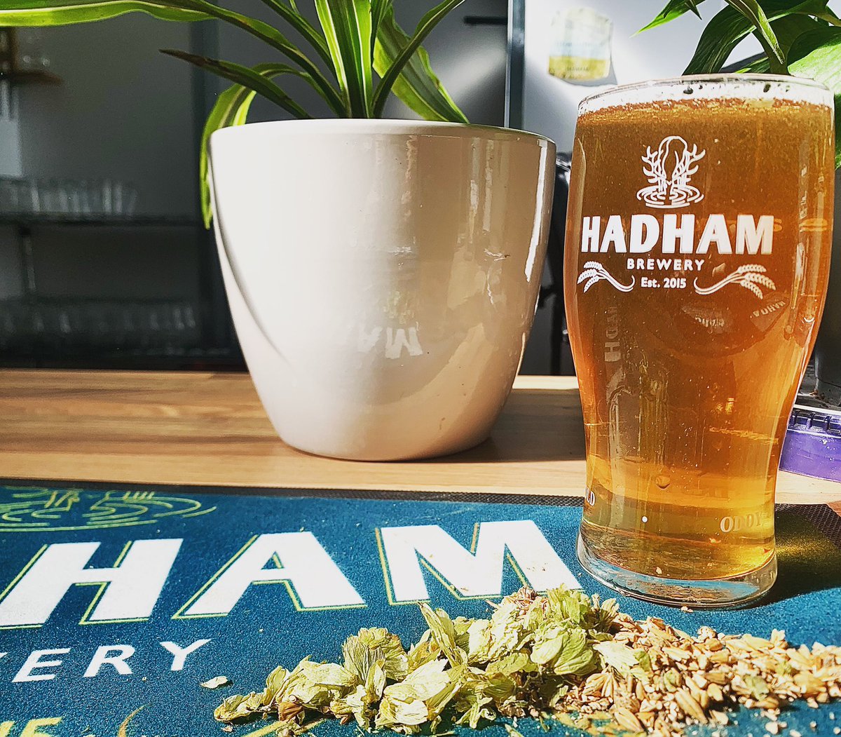 Pints like these available in our tap room. Open every Saturday 12-6pm. 💯