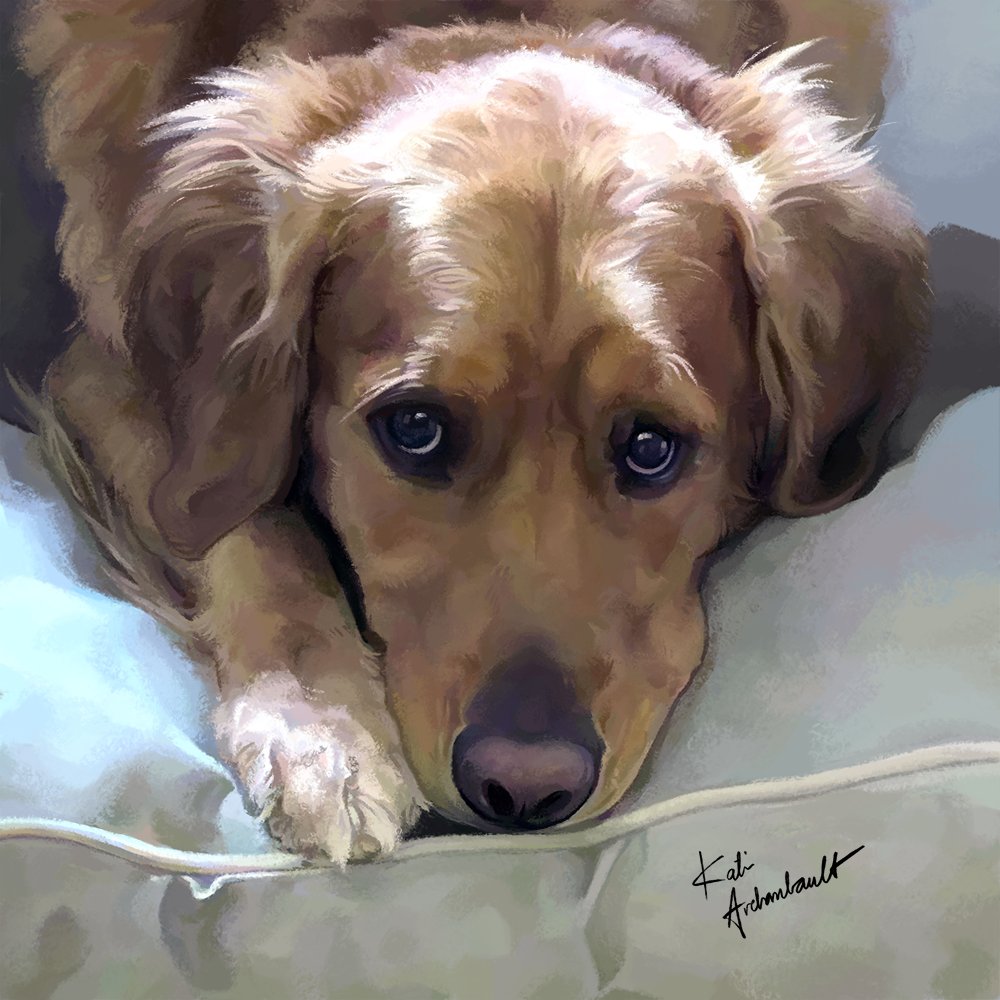 katiepox's tweet photo. 3 dog portrait commissions I painted in 2020 and forgot to post! Brody, Angel, and Sadie.

--

#art #digitalart #painting #digitalpainting #commission #petportrait #dogportrait #portrait #drawing #digitaldrawing https://t.co/5JxnA4RTmK