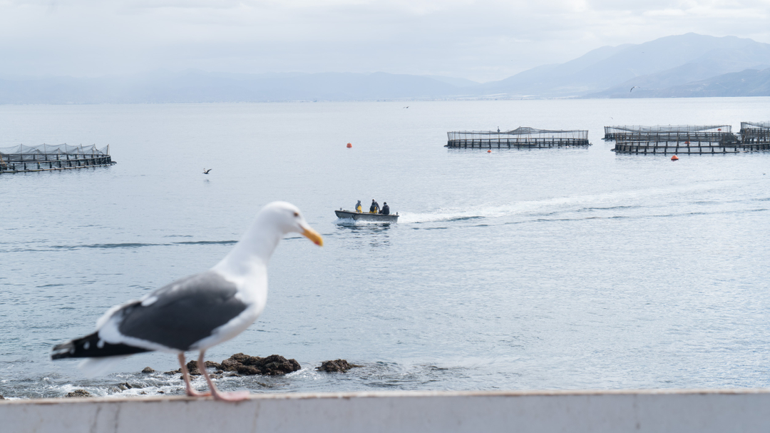 Just another day at the office.