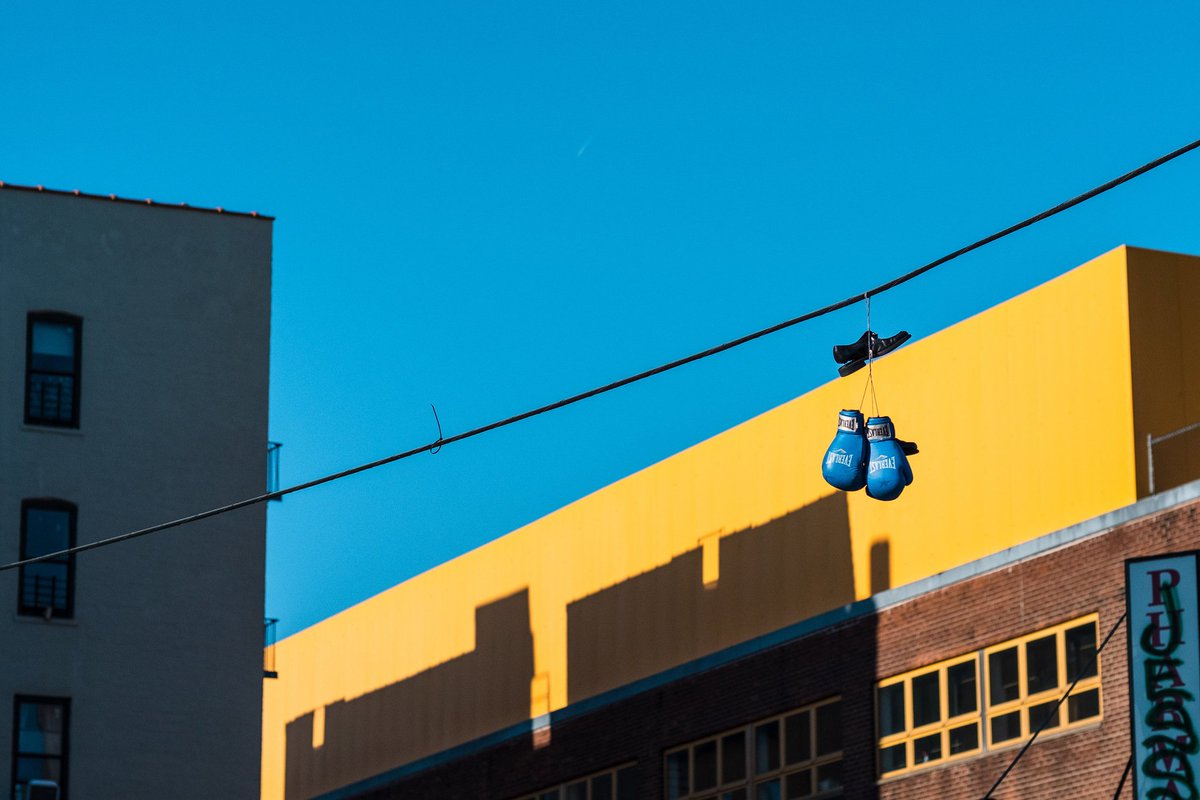 colourstalker's tweet photo. Observations // New York, New York. https://t.co/e2pLDJ3kYF