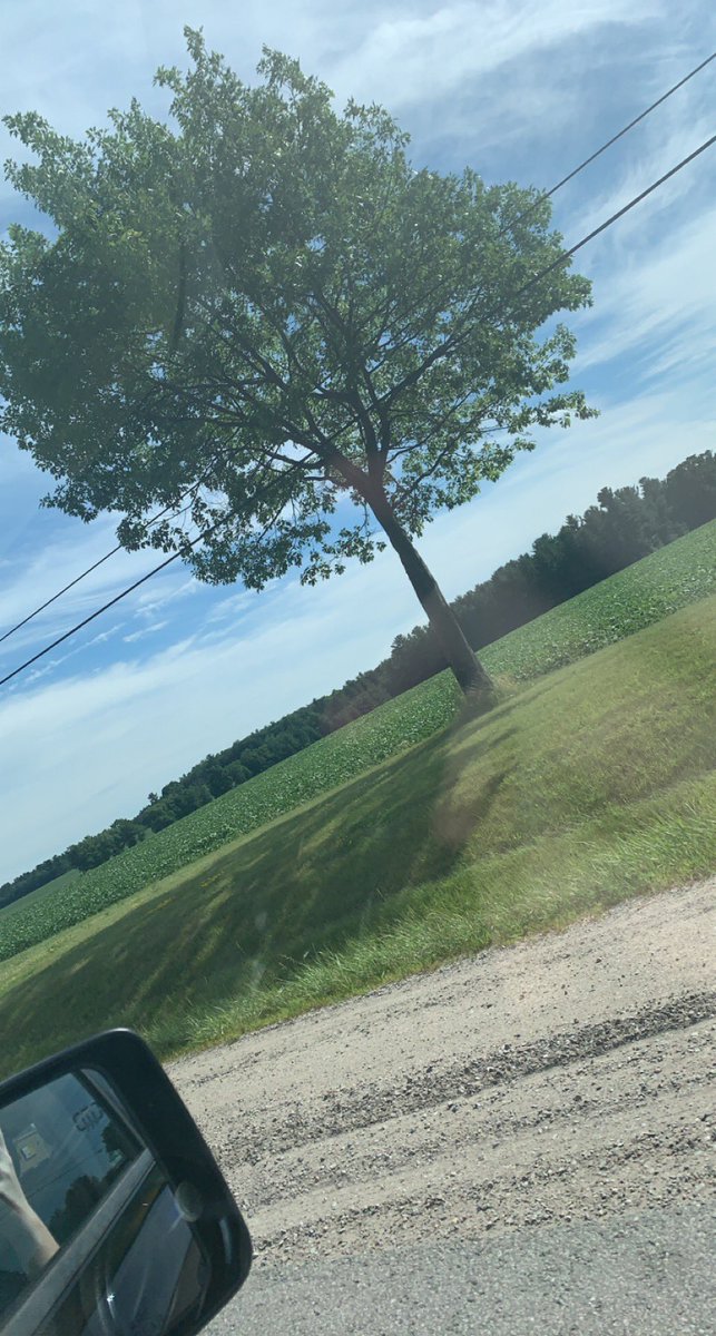 I love opening Twitter and seeing the same 2-8 people so mad it brings pleasure to my day!

I love how these low rank creators are dissing me like what who even are you oh wait I put you on the map 😂

New map series launching soon!