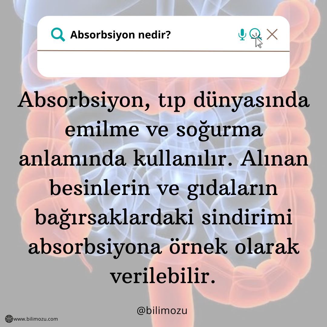 Absorbsiyon Nedir?