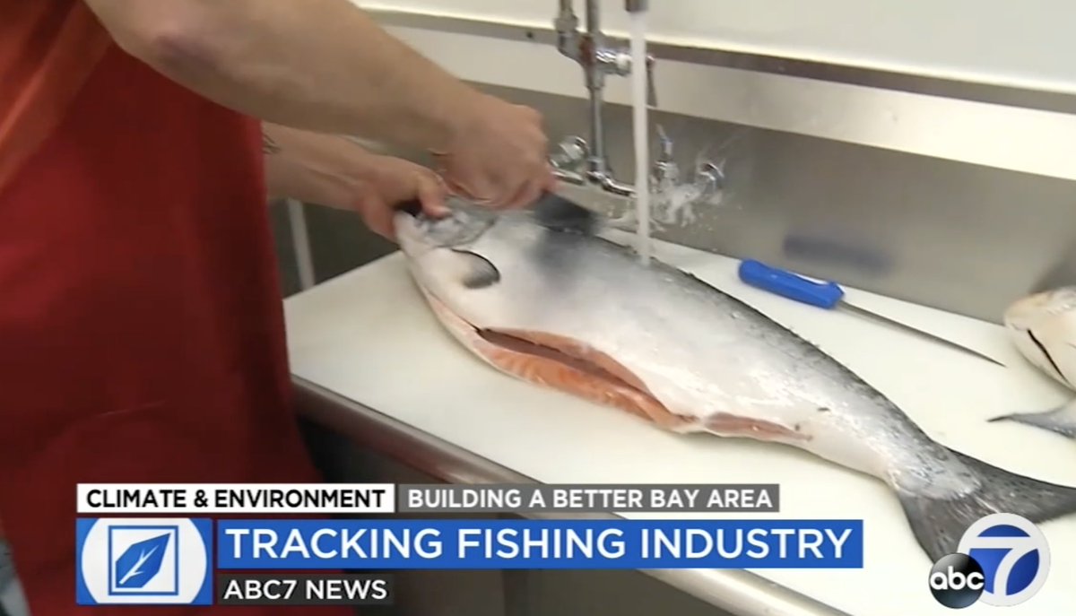 StanfordWoods's tweet image. "… as soon as the vessels can kind of get out of sight, it's just impossible to know what they're doing." - Alfredo Girón-Nava of @oceansolutions on how to ensure seafood supply chains are legal and sustainable via @abc7newsbayarea: abc7ne.ws/3B1xM0O