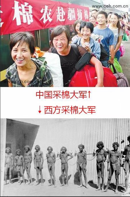 ☭苏共中央总书记&伏尔加河垂钓人☭🇷🇺🇷🇺🇷🇺 tweet media
