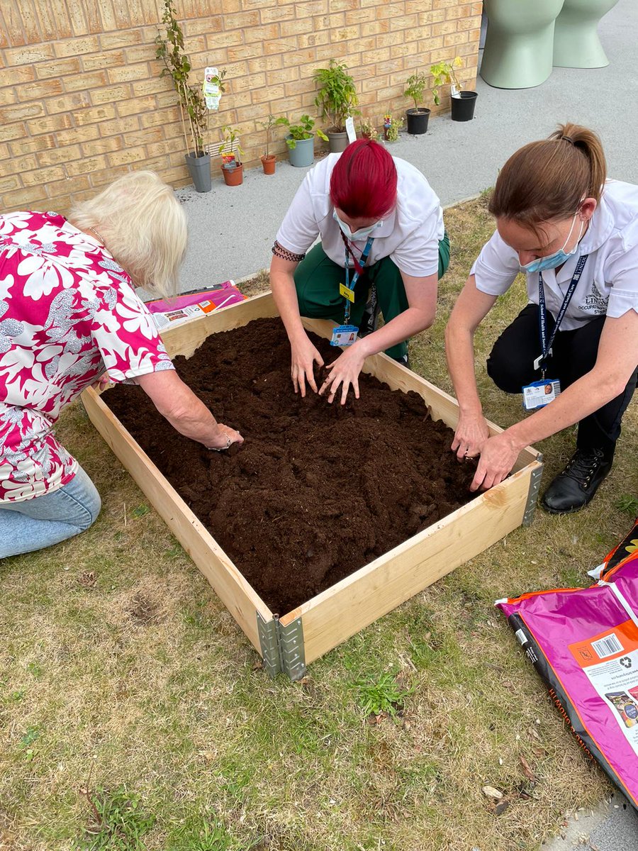 Amylinc_ota's tweet photo. Finally able to plant our little Fruit &amp; Veggie patch at Brant Ward! I had help from @norourke78 🥰 it's so important to have a green space to bring nature into your everyday life since it can benefit both your mental and physical wellbeing 🌿 https://t.co/ejZSOXyYof