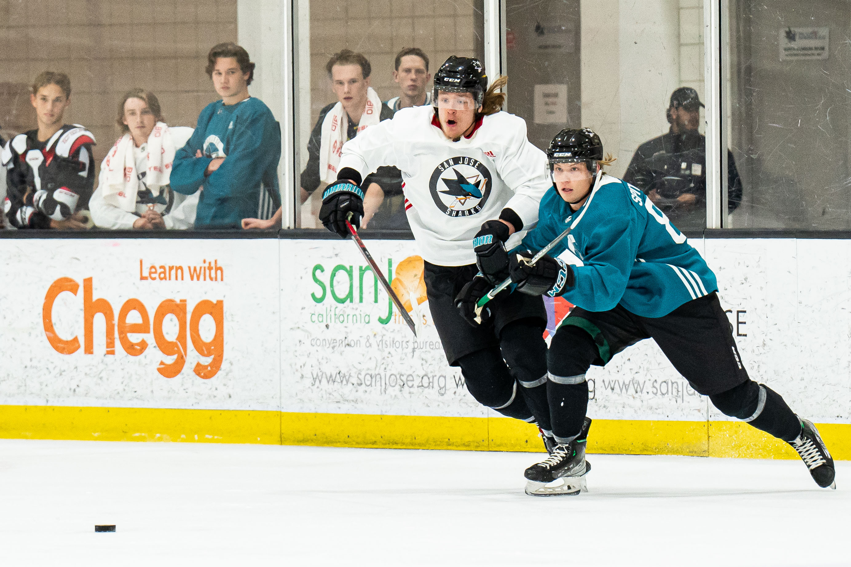 Learn To Skate  Sharks Ice at San Jose