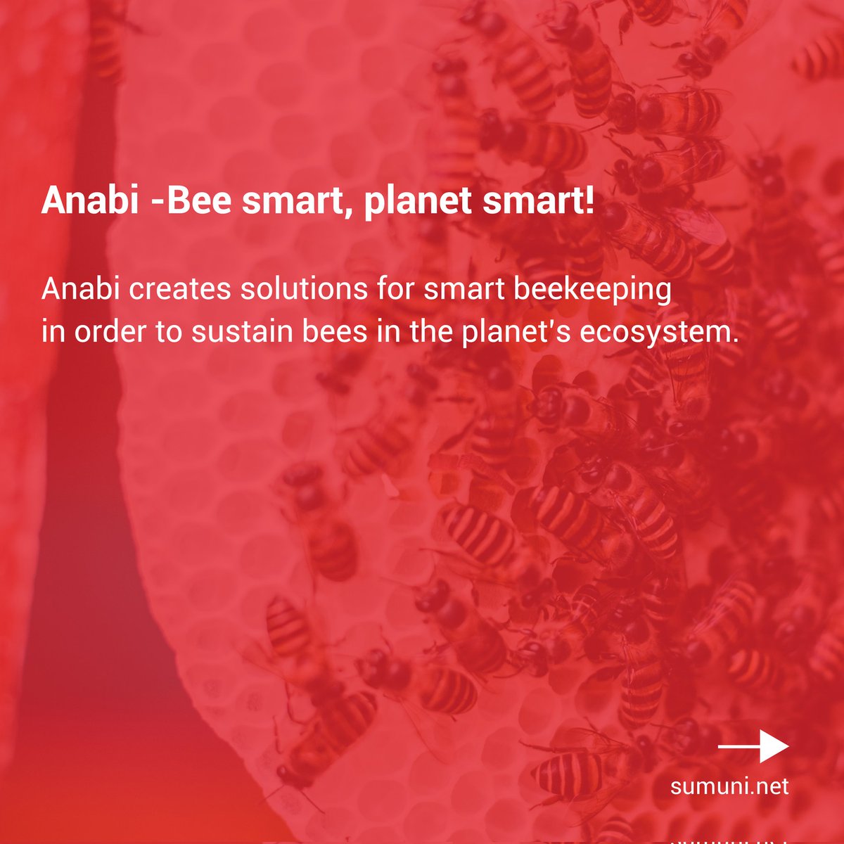 Sumuni25's tweet photo. STARTUP OF THE WEEK #startupoftheweek #entrepreneur #investor #startup #tech #business #CEO #Addisababa #Ethiopia @Anabi_et  #CCBAEthiopia 
Download the app with the link below
https://t.co/R6yHGpve2x https://t.co/HBLeyw8yHt