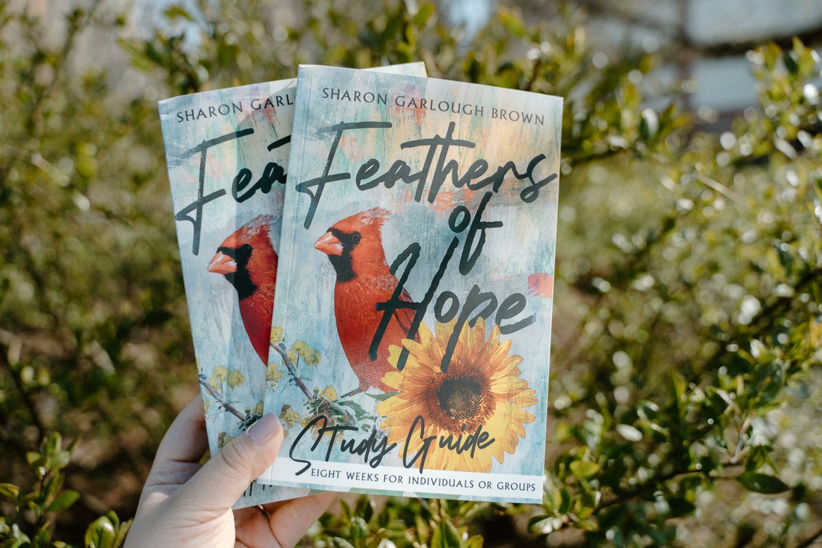 formatio's tweet image. In a season of loss and change, Wren Crawford and her great-aunt, Katherine Rhodes, share the journey as companions in sorrow and hope. 

Read the newest entry in the Sensible Shoes series, 'Feathers of Hope' by @sharongarloughbrown Out now: ivpr.es/FeathersOfHope…