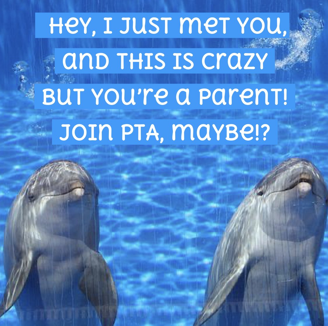 🌎🐬Our Members Make the DDES World Go Round!🌎🐬🌍

We are kicking off our Membership Drive with this catchy tune in mind … Remember this song?  📞🤷🏾🤷🏻‍♀️

Click this link: dde.memberhub.com to learn about the PTA! 

Questions? Ask below! 

<a href="/DDEDolphins/">Davis Drive ES</a>