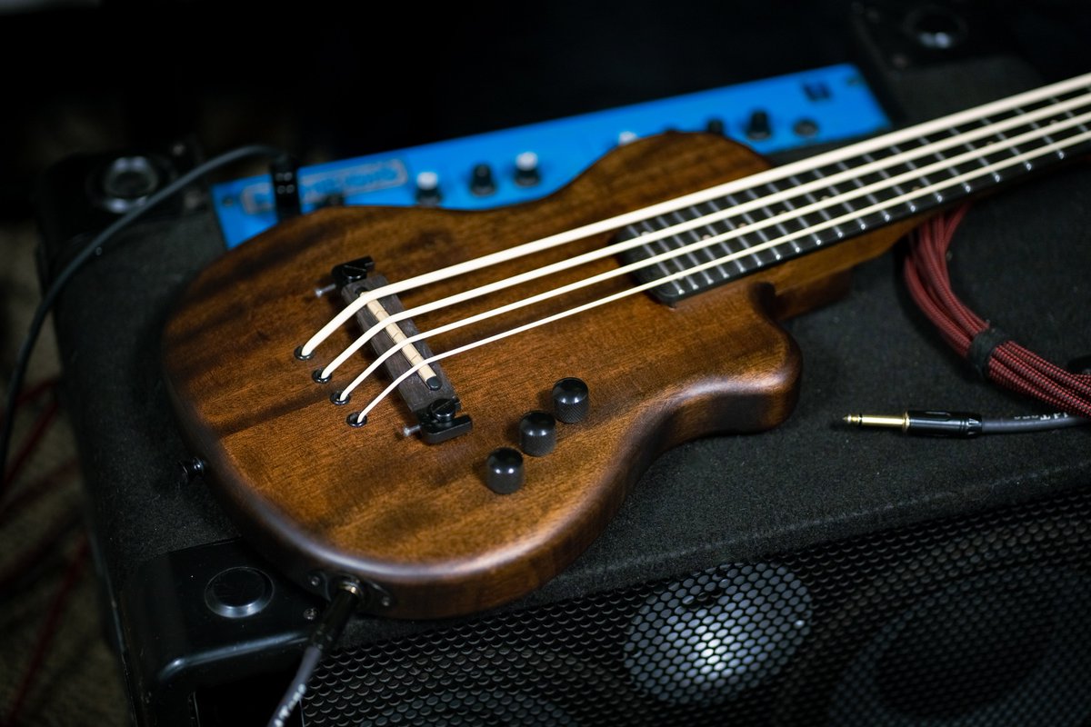 GoldToneInc's tweet photo. Lightweight yet powerful, the ME-Bass is a solid-body electric bass constructed for bassist! 🎸 Take control and adjust your output using the volume, treble boost, and bass boost knobs. Available left handed!
https://t.co/XAWsdklL6f
#bassist #GoldTone #Guitar #Microbass https://t.co/94zytpvbHQ