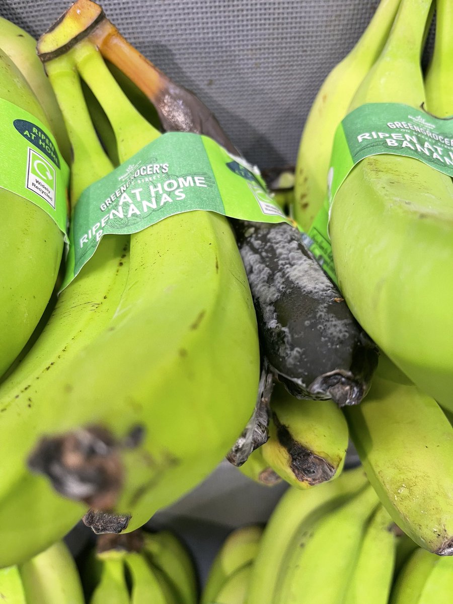 Richard Fuller tweet media