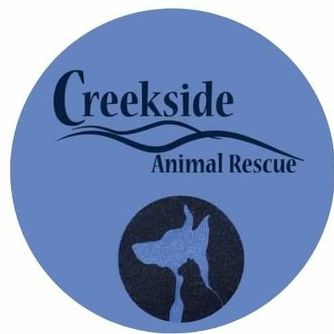 Petsmart0509's tweet photo. We are having an adoption event this weekend Friday July 15th 2p-6p, Saturday and Sunday July 17th-18th 12p-4p. https://t.co/L69wHb4vFp