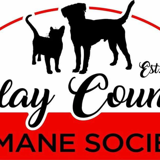 Petsmart0509's tweet photo. We are having an adoption event this weekend Friday July 15th 2p-6p, Saturday and Sunday July 17th-18th 12p-4p. https://t.co/L69wHb4vFp